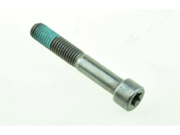 BMW Cylindrical Screw...